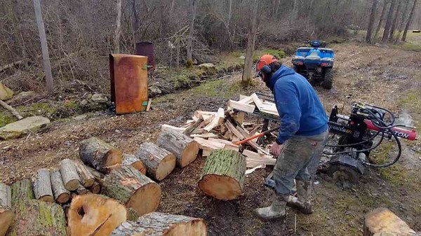 How to Split Massive Maple Logs for Winter Firewood? Firewood Fever!