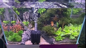 Aquarium Filter Fish Tank Filters Quiet Sponge Filter with Air Stone Bio Ceramic Media Balls Corner Filter for Fry, Betta, Shrimp, Nano (S810-filter)