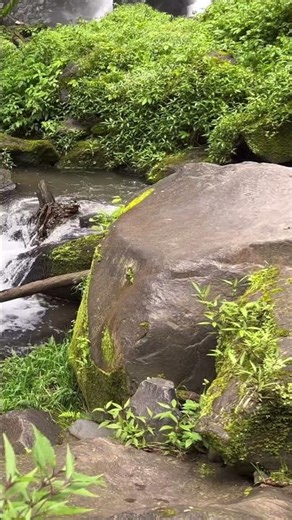 relaxing Natural water flow, video shorts YouTube