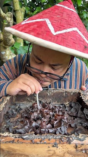 ASMR Drinking Wild Stingless Bee Honey Pots - 60 🍯🐝 #shorts