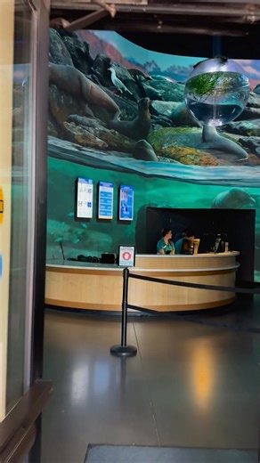 Step into OdySea Aquarium’s NEW 360° underwater immersive experience and be surrounded by swimming sharks, playful penguins, and glowing jellyfish—on 3-story high walls! 🌊🐠 It’s like diving into a storybook ocean adventure—without getting wet. | OdySea Aquarium