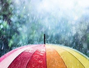 Fredericton's weather forecast for December 12: Cloudy with showers - The Weather Network
