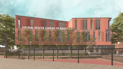 Animal Rescue League of Boston receives stunning gift, largest of its kind