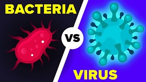 Knowing How Viruses and Bacteria Differ Can Be Life-Saving
