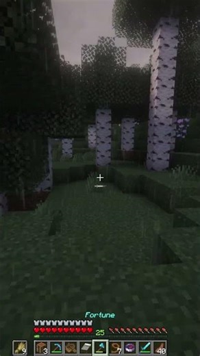 A Baby Zombie Sprinting #minecraft #minecraftforeverworld #minecraftsurvival