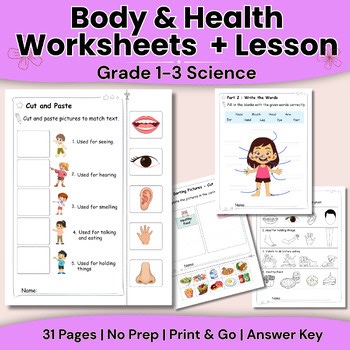 Body & Health Worksheets with Lesson Plan | Human Body & Healthy Habits | Grade