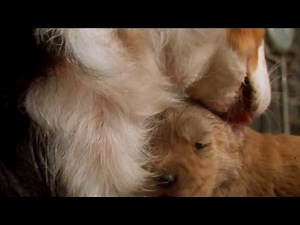 Fluke (1995): 1:33 - 2:49 (1080p)