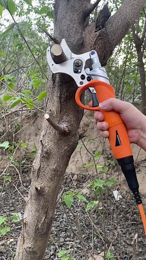 So easy...#tools #useful #outdoors #auto #garden #electric #pruner #foryou
