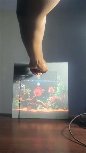 Gray projector screen say you're missing nothing? Our ILEG black say you're missing everything!