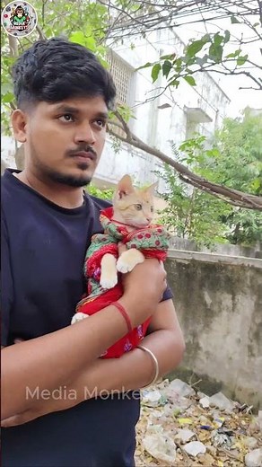 Low Budget Gilli Movie😂😂Cute Thrisha 😁|| MEDIA MONKEYS ##comedy #bachelorkitchen #cat #tamil #fun