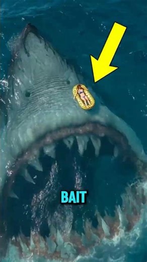 Catching a Megalodon The Gear Would Be Insane 😱