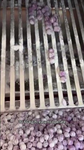 Automatic Boba Ball Maker | Tapioca Pearls Making Machine