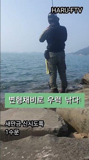 변형채비로 우럭낚다! #새만금낚시 #새만금우럭낚시
