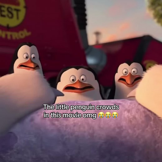 Adorable Penguins in Madagascar - Cute Moments and Funny Reactions