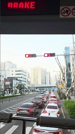 #부산 #busan #시티투어 #부산시티투어버스 #citytour #busancity #그린라인 #greenline #good #citytourbus #2층버스