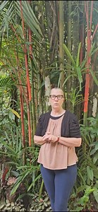 Macaw Lodge Cacao Tour !!! The best Cacao Tour in Costa Rica | Macaw Lodge Wellness Center | Facebook