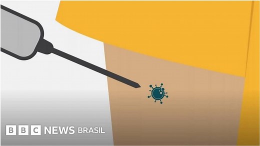Como uma vacina funciona - BBC News Brasil
