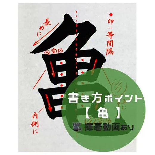 【松本松栄堂 書道教室】湯淺圭祐（号：光峰） on Instagram: "【亀】の書き方 今日の漢字は｢亀｣。 読みは［訓］かめ 、［音］キ 。 亀は、知恵と長寿を象徴する動物とされています🐢 もうすぐお正月ということで、縁起の良い字を選びました✨ 🎬揮毫動画は1.3倍速です。 〈書き方アドバイスplus〉 ① 「ク」と「昌」、そして最終画｢乚｣の縦部は、中心よりわずかに左寄りに配置します。 ② 「昌」について。 ・すべての横画は、等間隔になるよう平行に。 ・縦画は、内側へ向かう角度をほぼそろえます。 ③ 最終画「乚」の縦部について。 ・「昌」を二等分する位置を意識して書きましょう。 ・一番下の横画までは垂直に進み、通過したらゆっくりと右へ曲がります。⁡ ⁡ #亀 #turtle #書道 #習字 #漢字"