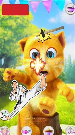 funny ginger cat videos 😹😺 #shorts #youtubeshorts #ginger #cat #funny
