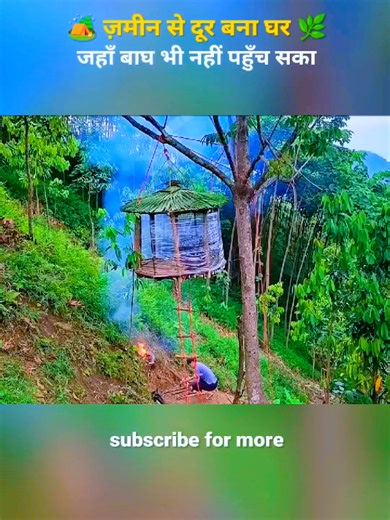 Amazing Underground Shelter Building for Solo Camping