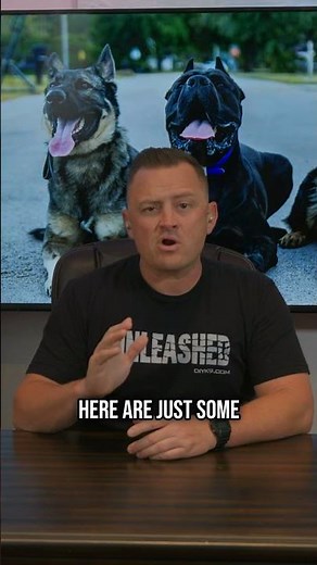 Dog that's misbehaving? Try this!