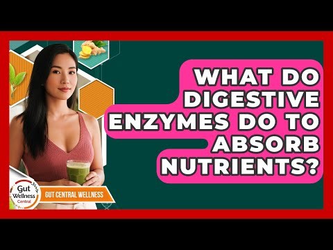 What Do Digestive Enzymes Do To Absorb Nutrients? - Gut Wellness Central