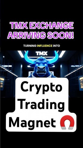 TMX Decentralized Exchange - A Crypto Trading Magnet 🚀