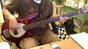 Eagles - Already Gone Bass Cover