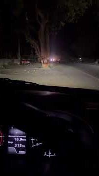 Headlight Leveller Switch is the most important feature for night driving ! Here is how to use it!