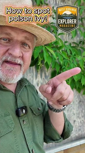 How to spot poison ivy!