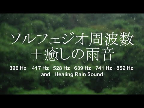 雨の癒し音とソルフェジオ周波数で心身をリフレッシュ｜深いリラクゼーションと健康促進のための究極の音楽