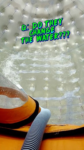 274K views · 982 reactions | Forget roller coasters — at Outdoor Gravity Park, you become the ride! Grab your crew, climb inside a giant OGO zorb, and roll through 1,000 feet of downhill adventure. Whether it’s sunny or raining, we’re open and rolling daily in Pigeon Forge! #OutdoorGravityPark #SmokyMountainsFun #PigeonForgeAttractions #TennesseeAdventure #GatlinburgThingsToDo #FBLifestyle | Outdoor Gravity Park | Facebook