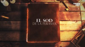 #el_sod_de_la_parasha ✨ VAIGASH "El alma se reune de nuevo con el cuerpo" Shabat Shalom! | Tora en UNO