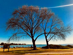 Beyond The Screen: Photo Of The Day