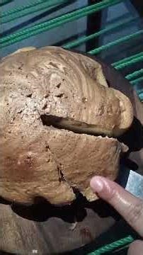 Homemade Marble Cake: Simple, Soft, and Delicious