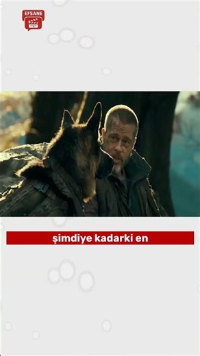 What Is the Plot of Heart of the Wild? When Is the Release Date?