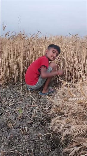 Kisan ka beta. # new model katai..