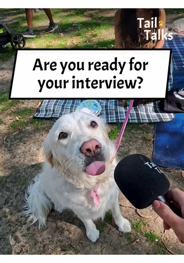 Watch Lucy’s interview in our next video! We met the sweetest golden retriever in the park with her mom and friend. You won’t believe how incredible wonderful she is! #goldenretriever #golden #dogs #dogsoftiktok #streetinterview