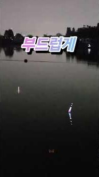 시원한 찌올림만 보여드려요(영종낚시터) #민물낚시영상 #찌올림영상 #붕어낚시영상 #영종낚시터 #인천낚시터#스위벨채비 #하이피싱전자찌