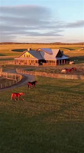 BrainSpiderFox (@brainspiderfox)’s videos with original sound - BrainSpiderFox