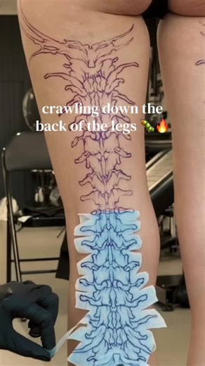 Creepy Centipede Tattoo Design for Your Legs
