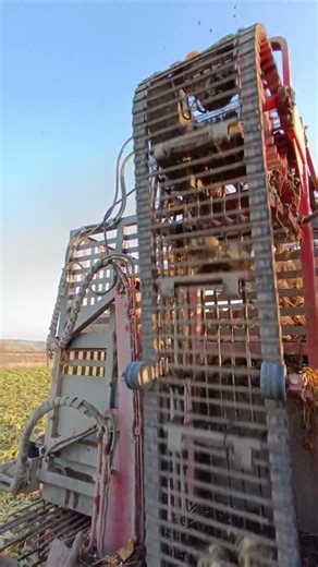 Sizce Barış pancar makinesi nasıl #hollend #tarım #agrs #farming #çiftçi #tarla