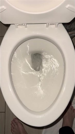 Wolverine~Brass #toilet at the #comfortinn #lexington. Never seen this brand before.