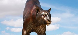 CAHNRS Academic Programs