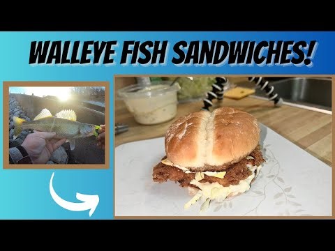 WALLEYE FISH SANDWICHES better than CULVERS!