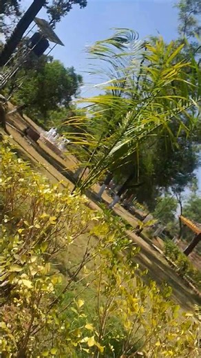 mujhe pathname nahi aata 🥹 #viral #shortvideo #sikandrasharmavlogs