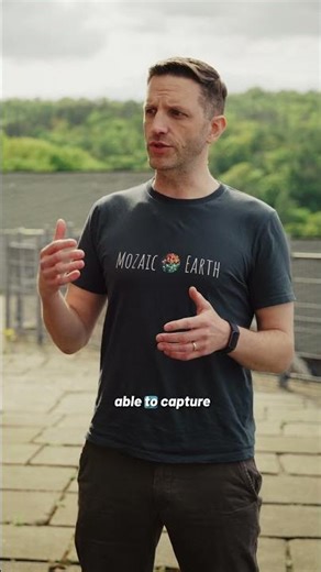 Turning Smartphones into Biodiversity Sensors | Mozaic Earth at the Biodiversity Residency