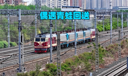 偶遇青蛙回送