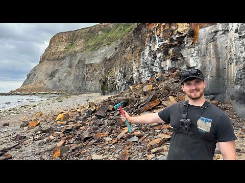 Hunting a Fresh Landslide for Fossils! Beautiful Beach Reveals Ammonites, Squid & More Marine Finds!
