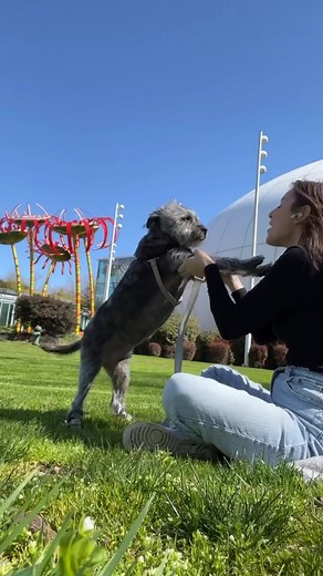 Afternoon Walk Fun with Amira: Dare to Have Fun!